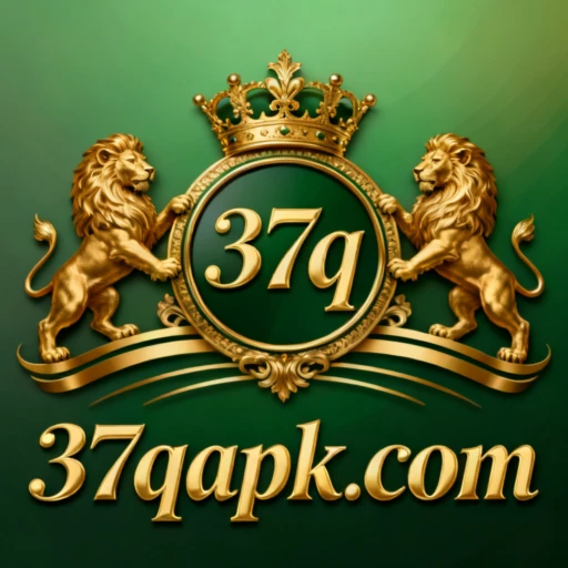37q Logo